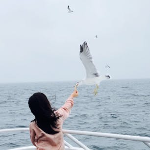 初島〜熱海へ
#イルドバカンスプレミア