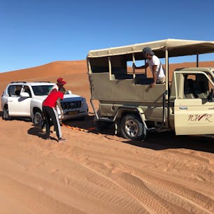 ナミブ砂漠、レンタカーもいいですが、砂漠の運転は本当に難しそう。
ランドクルザーでも、スタックしたら、素人では手に負えそうもありません。