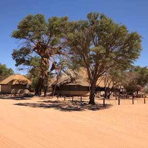 ナミビア
国立公園内のセスリエムキャンプサイト
建物にはバーや売店が入っています。