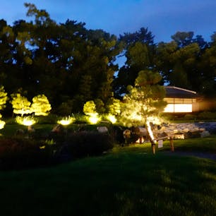 二条城
庭園内ライトアップ