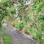 仙台市野草園の萩まつりへ。園内のあちこちで萩がきれいに咲いてて、萩の花をまとわせたトンネルも。

ちなみに仙台市の市花も宮城の県花も萩の花だそうで、イベントの協賛は「萩の月」でおなじみの菓匠三全でした。