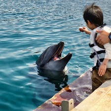 ドルフィンファンタジー