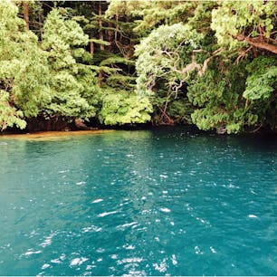 十和田湖　本当に湖面が青く綺麗で感動しました