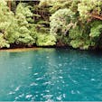 十和田湖　本当に湖面が青く綺麗で感動しました