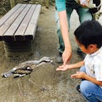 キャンベルタウン　野鳥の森