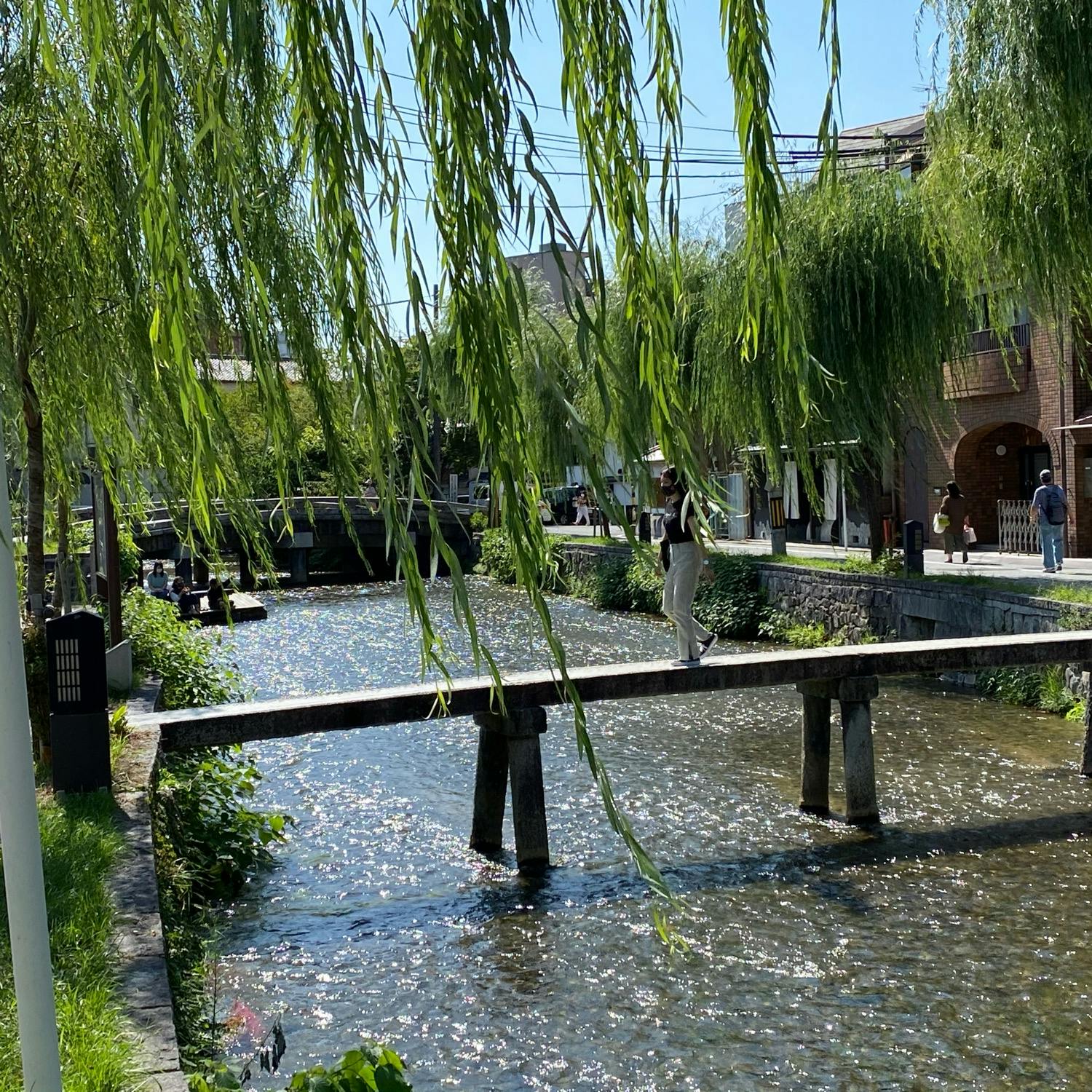 一本橋 行者橋 の投稿写真 感想 みどころ 一本橋 行者橋 京都府京都市東山区にある橋 白川に架かる橋 トリップノート