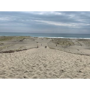 中田島砂丘
#202010 #s静岡