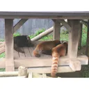 福井のおすすめ遊び場ランキングtop15 観光地 福井のおすすめ遊び場ランキングtop15 観光地