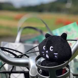 05/10/20
@関ヶ原
#彼岸花とサイクリング
#にゃーと旅日記