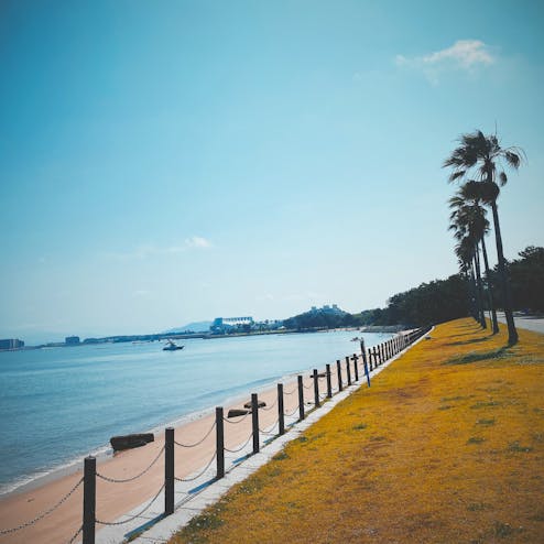 海の中道海浜公園