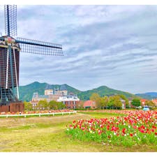 ハウステンボス　チューリップ祭