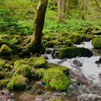 鳥取　木谷沢渓流
一眼持っていったのに電池を充電したまま忘れていって、折角なのにスマホ撮影になつた。
