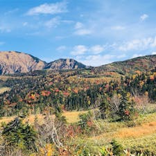2020.10.11
弥陀ヶ原
紅葉🍁見頃です