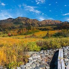 2020.10.11
弥陀ヶ原トレッキング
大日岳の迫力
あの頂上に登ったんだなー