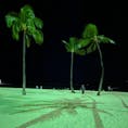 ヒルトンハワイアンビレッジ

夜の砂浜！！
ヤシの木🌴が、南の島感を演出！！