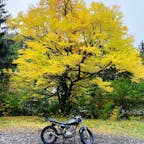 ビーナスライン
長野県ツーリングスポット