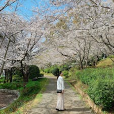 ⋆⸜ 小城公園 ⸝⋆

お花見 ❀

#佐賀