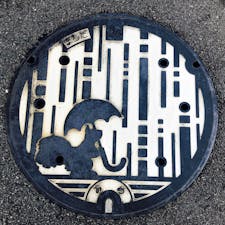 りすちゃん　傘さしててかわいい　これもまちだ