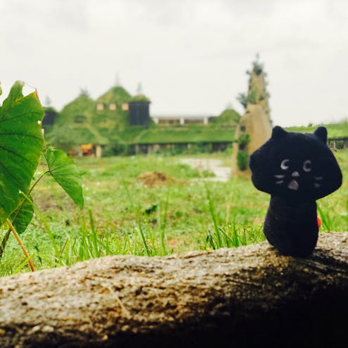 ラコリーナ近江八幡