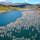 湛水面積国内2位、貯水量国内4位のシューパロ湖は、炭鉱で栄えた頃には2万人が暮らしていた鹿島地区が眠る巨大なダム湖です。紅葉の名所としても知られ、立ち枯れた木々やアーチ橋がかつての繁栄を感じさせるノスタルジックな風景が楽しめます！#北海道 #夕張 #シューパロ湖