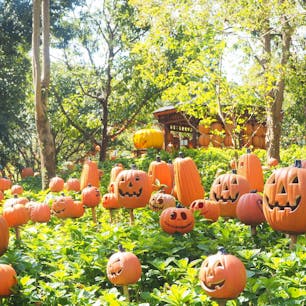 ハウステンボスのハロウィン🎃