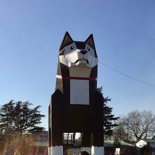 つくばワンワンランド