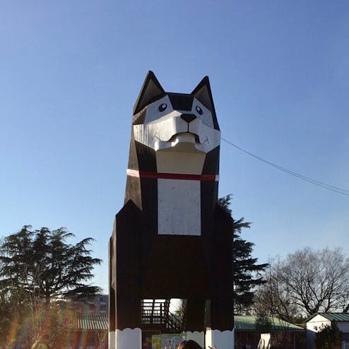 つくばわんわんランド