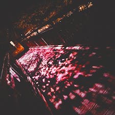 暗い森の中を進んでいくと、突然煌びやかな世界が広がります✨
♯定山渓温泉
♯二見公園
♯イルミネーション