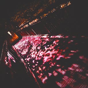 暗い森の中を進んでいくと、突然煌びやかな世界が広がります✨
♯定山渓温泉
♯二見公園
♯イルミネーション