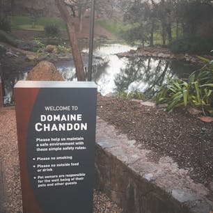 ナパ🍇 ドメイン・シャンドン ワイナリー🍷🇺🇸