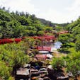 赤い鳥居がずらりと並ぶ高山稲荷神社⛩新緑に赤い鳥居がとっても映えます。桜の時期や雪の時期もきれいだそうです。

#高山稲荷神社 #青森