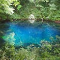 肉眼だと池の底まで見えるほどに透き通っていて、インクを垂らしたかのように鮮やかで澄んだブルーの青池。白神山地にある十二湖の一つです。

#青池 #青森 #十二湖