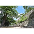 彦根城前の石垣