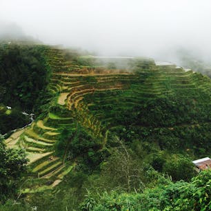 フィリピンルソン島コルディエラの棚田です。
