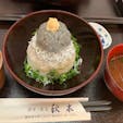 2020.07.20
鎌倉 はじめて秋本でしらす丼を食べたけどとっても美味しかったのでまた行こうと思います🐟