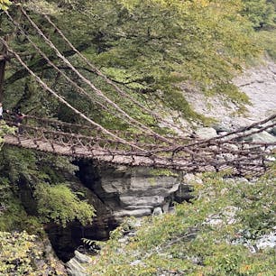 祖谷のかずら橋
徳島県三好市西祖谷山村にあります。

#四国　#全国橋巡り　#サント船長の写真