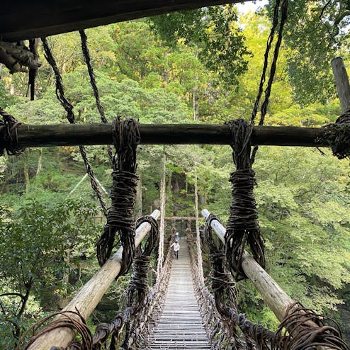 祖谷のかずら橋