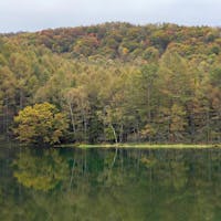 長野の御射鹿池。紅葉の本番はもうちょっと先かな🍁
