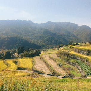 📍香川県 ｜ 小豆島
 ✈︎ 2018.11

［ 中 山 千 枚 田 ］

小豆島の中山地区には大小様々な棚田が800枚以上あるそう✨
地元に住む親戚が綺麗に見えるところへ連れてってくれた🥺

今度は初夏の水が張ったところも見たいなぁ☺️