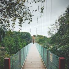 千眼堂吊橋🌲🌳⛰🌳🍃