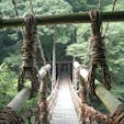 祖谷のかずら橋(平成)
コレは20年前の写真ですね。

令和2年10月14日の写真と比べ下さいね。

#四国　#全国橋巡り　#サント船長の写真