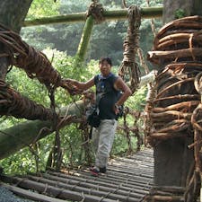 祖谷のかずら橋(平成)
コレは20年前の写真ですね。
オイラも若い🤗
令和2年10月14日の写真と比べ下さいね。

#四国　#全国橋巡り　#サント船長の写真
