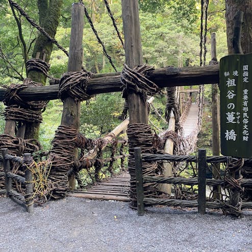 祖谷のかずら橋
