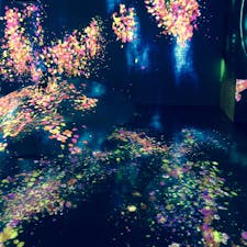 お台場
チームラボボーダレス*̣̩⋆̩*
本当に綺麗でした💎✨✩°｡⋆⸜(* ॑꒳ ॑*  )⸝
また行きたい🐈🐾