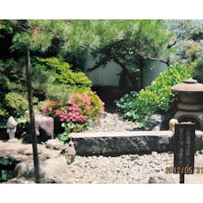 水木しげる記念館　妖界庭園