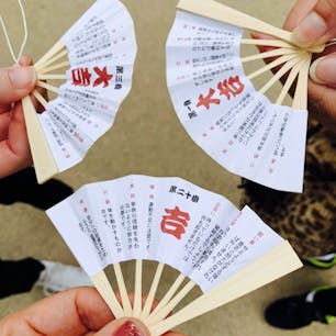 智恩寺

#扇みくじ