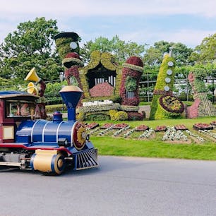 #フラワーパーク
#静岡#浜松