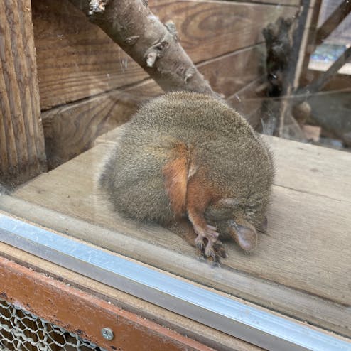 城山動物園