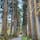 戸隠神社奥社の参道⛩ 随神門の前にいる人と比べると杉の木の大きさが伝わるでしょうか。この杉の大木がしばらくずら〜っと並んでいて、壮観です。