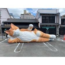 まねきねこミュージアム
#202010 #s愛知